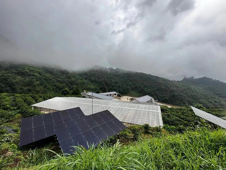 Coffee farm structures and hillside greenery under cloudy light